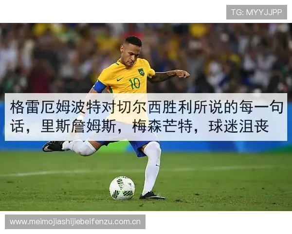 世界杯挪威对法国比赛胜负平对球迷关注点和球队士气的具体影响分析
